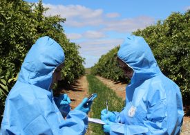 Connecting plant health surveillance professionals