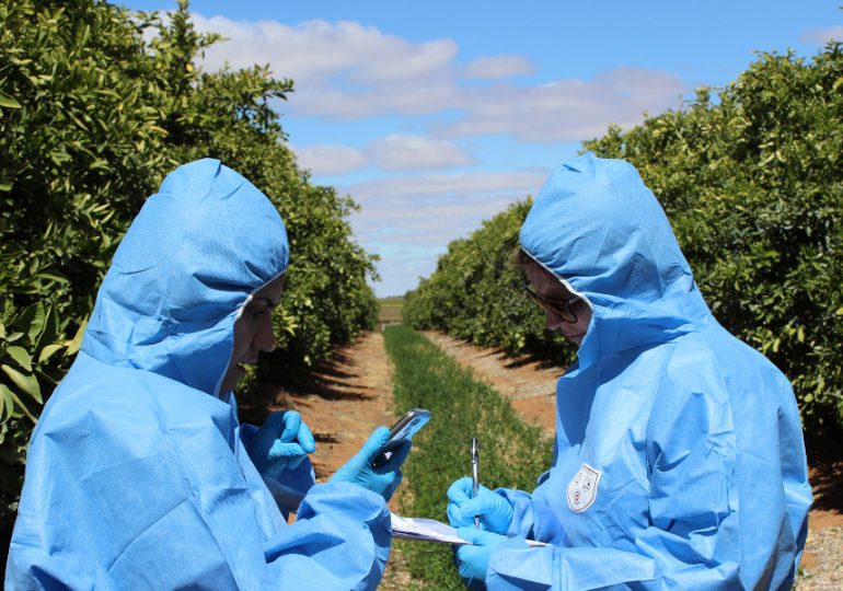 Connecting plant health surveillance professionals