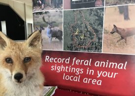 FeralScan and pest management workshops in NSW – 44 completed and counting