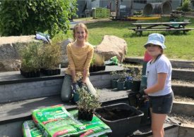 Regrow project ready to spread roots