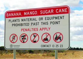 Check before you pack and go