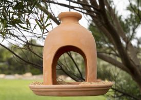 Help Garden Wildlife Thrive This Summer