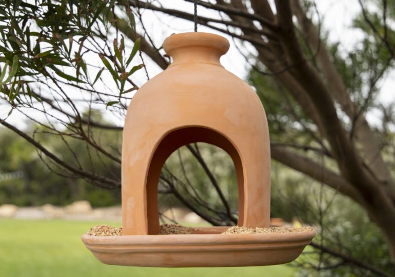 Help Garden Wildlife Thrive This Summer