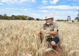 WA grain industry plans a carbon neutral future