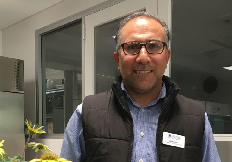 Glyphosate-resistant capeweed detected in WA