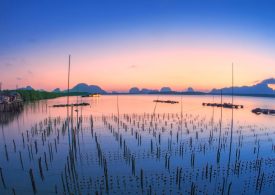 New research facilities to support jobs and grow aquaculture industry