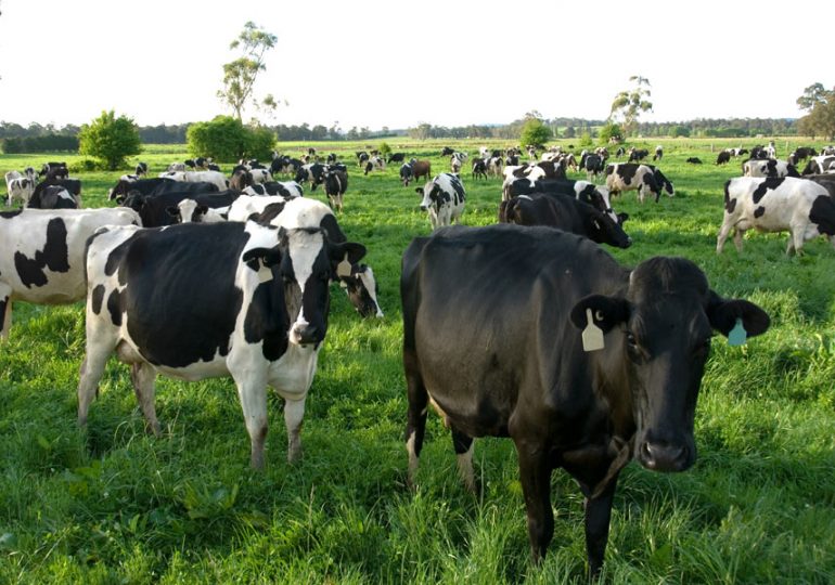 NSW dairy industry once again cream of the crop backed by new $16 million plan