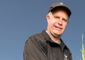 Structure seeding programs to minimise frost risk