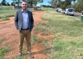 Council to Investigate Apex Oval Parking