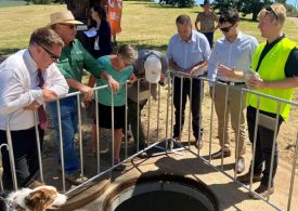 Forty tonne trap catches river rubbish