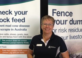 Biosecurity focus at 2021 Wagin Woolorama