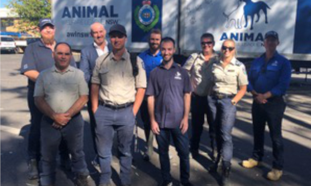 Partnership to drive down rate of animal abandonment