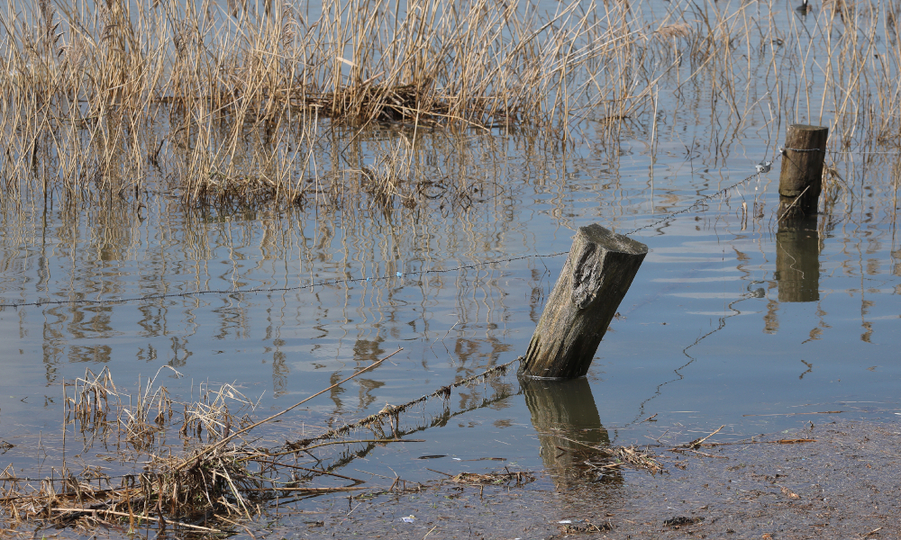Recovery grants extended to NSW communities affected by February flooding