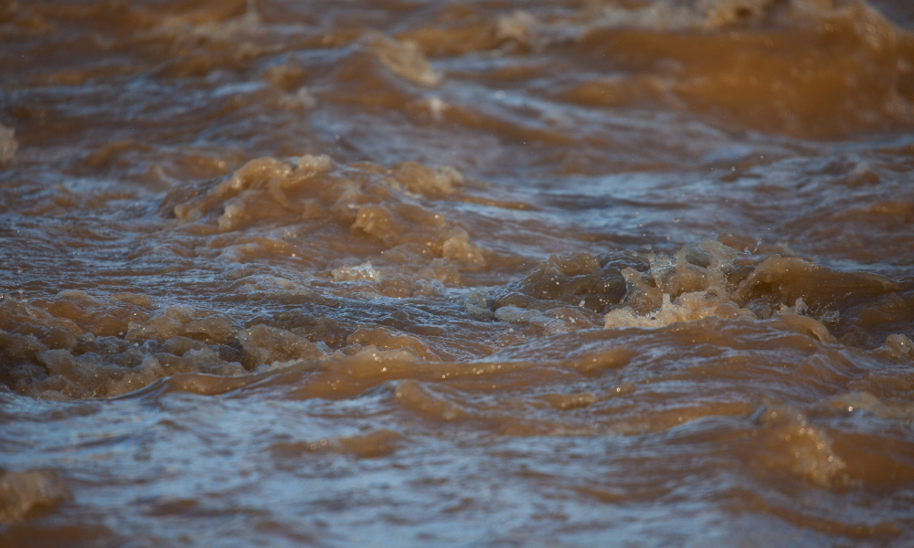 NSW Fair Trading warns consumers about flood damage scams