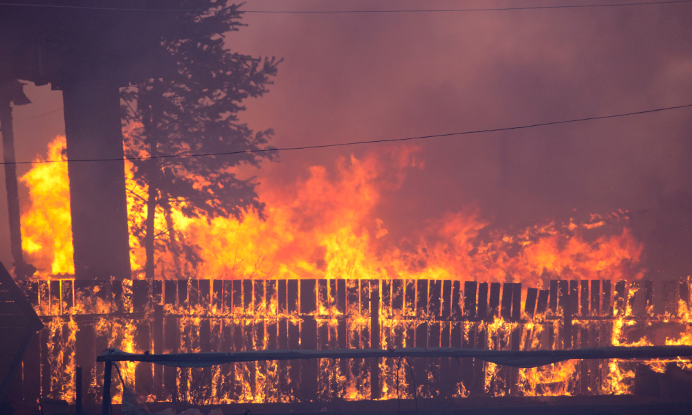 Record investment to protect Victoria from bushfire risk