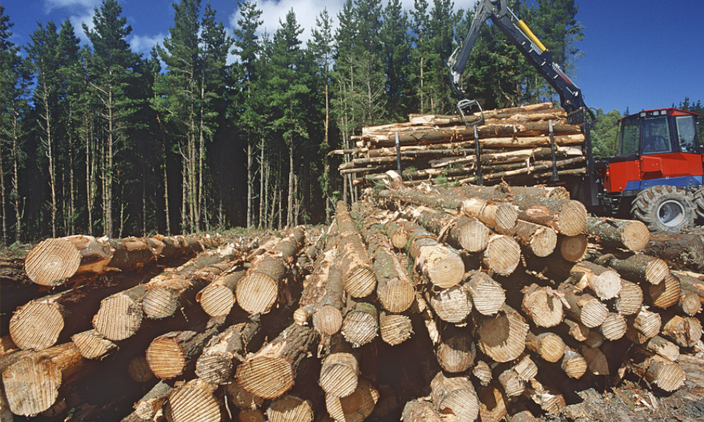 $12.7 million to support growth and innovation