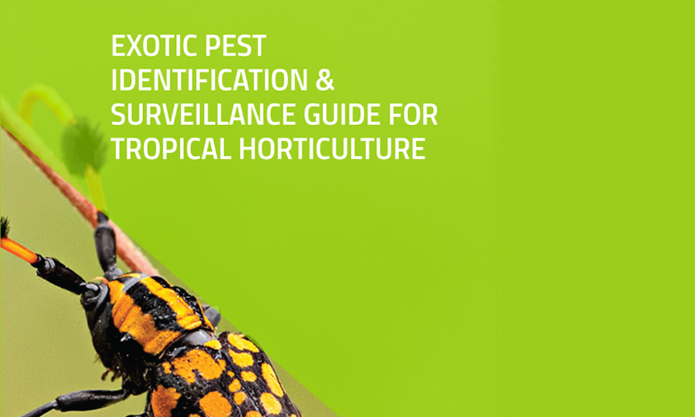 New surveillance guide for pests and diseases of tropical crops