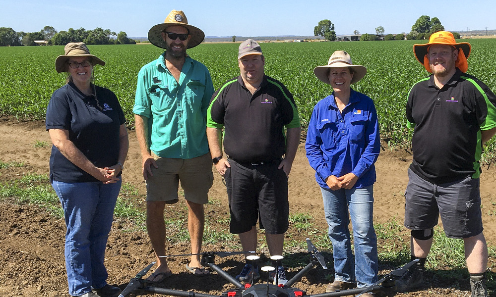 Drones add to fall armyworm defence armoury