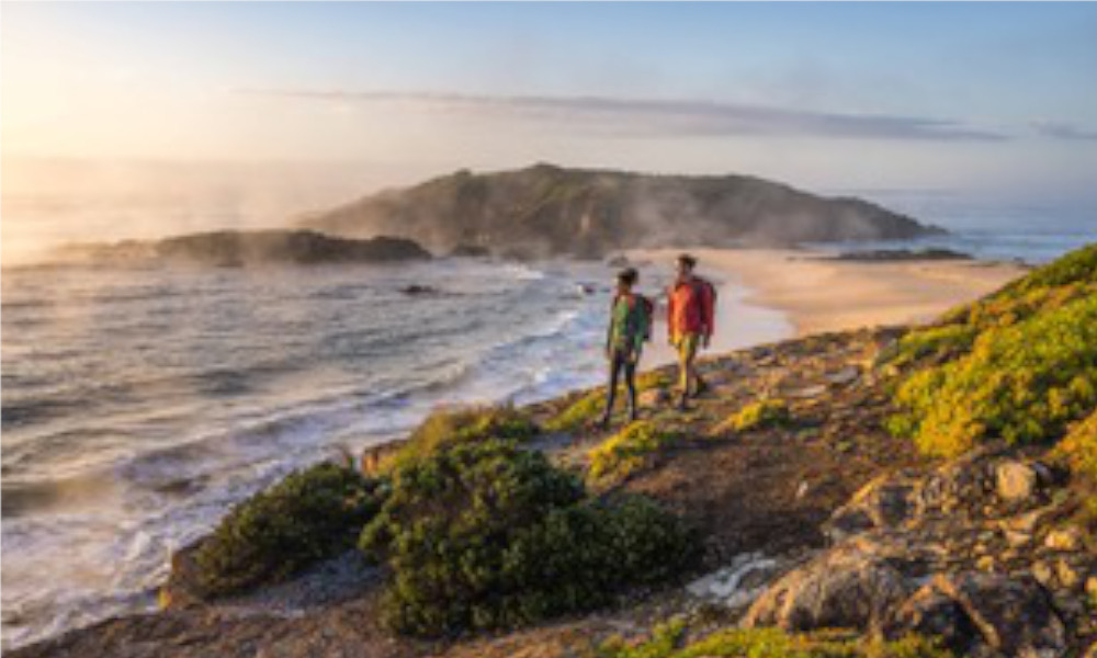 Wharf to Wharf Walk officially opened