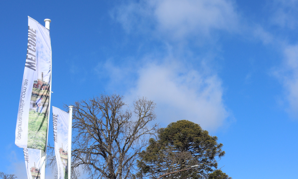 Flying the flag for Goulburn