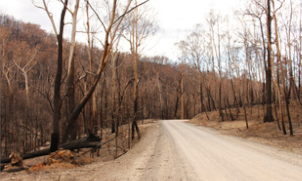 NSW Coronial Inquiry into 2019-20 bushfire season