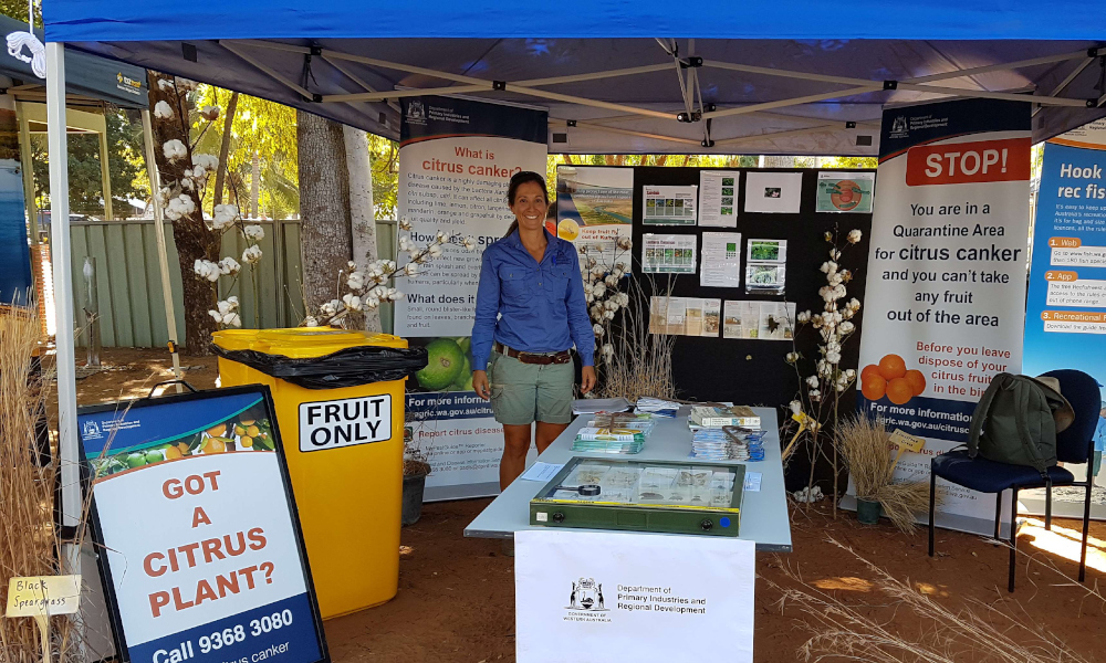 DPIRD provides something for everyone at Kununurra show