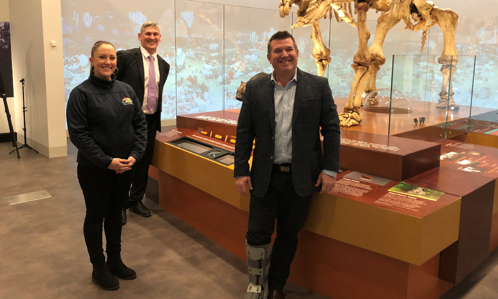 400 million-year-old history comes to life at Wellington Caves