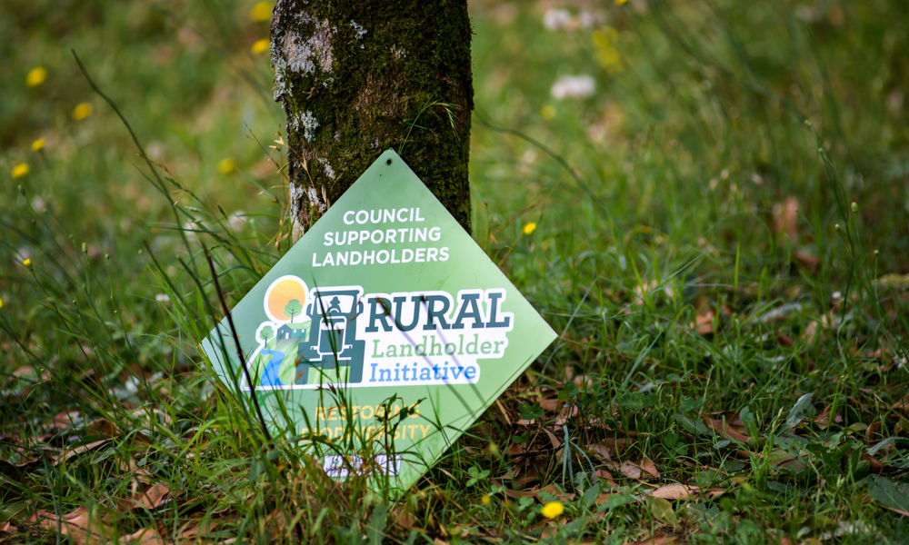 Celebrating our unique biodiversity