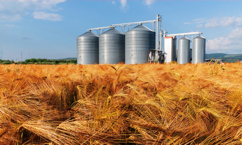 Crop disease management in focus at WA workshops