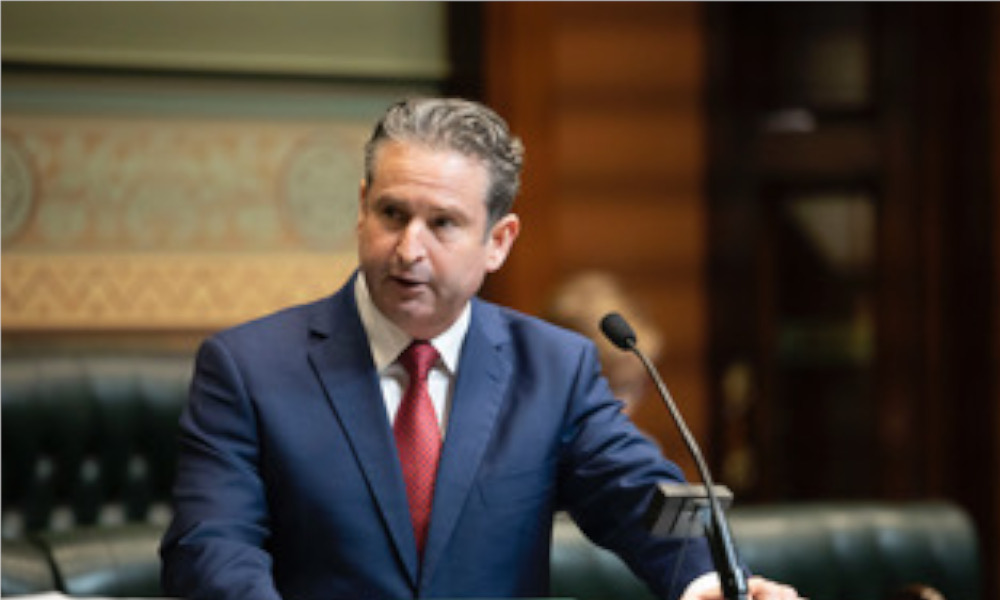 Minister must ensure local government elections are safe and accessible