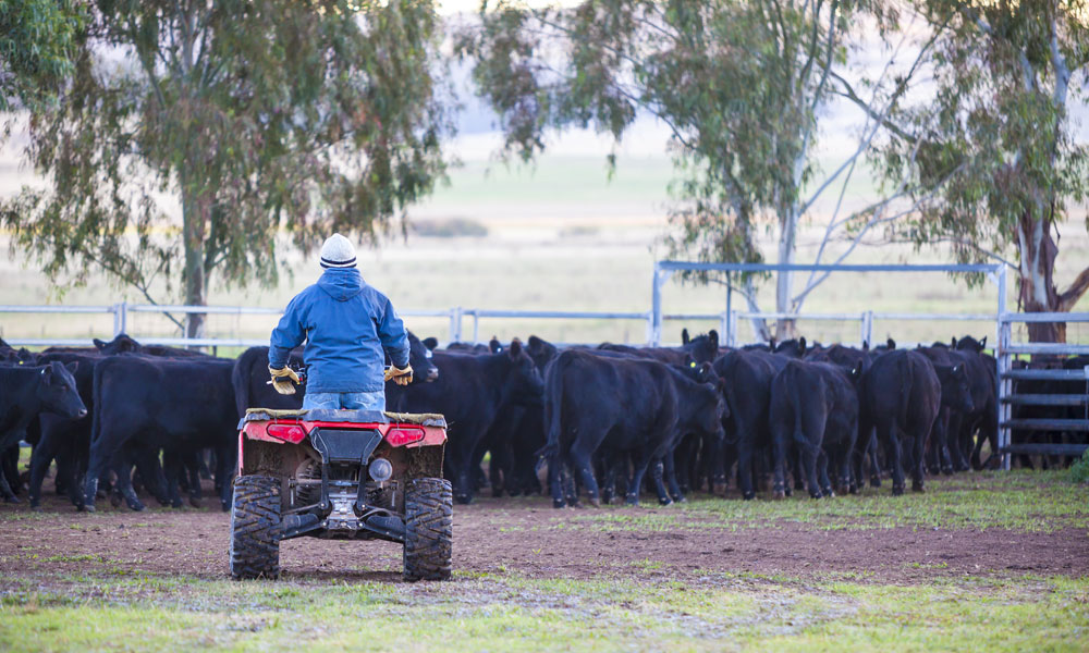 Farmsafe Australia Launches a New Campaign: Farming Not Harming