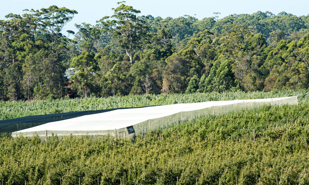 Horticulture netting scheme boosted and extended