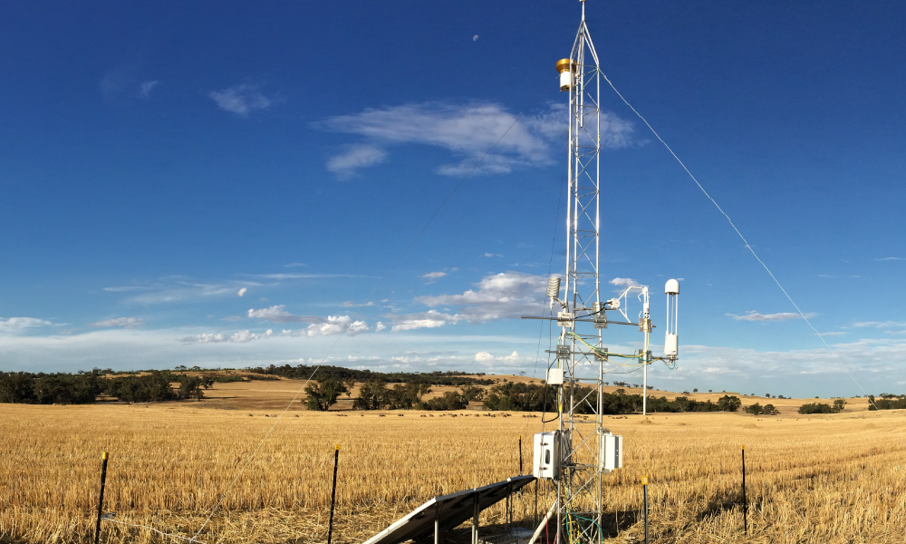 UWA Farm Open Day to showcase innovative research
