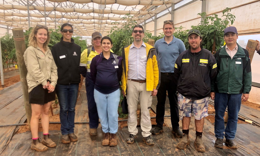 Sub-tropical horticulture research blooms at DPIRD field day