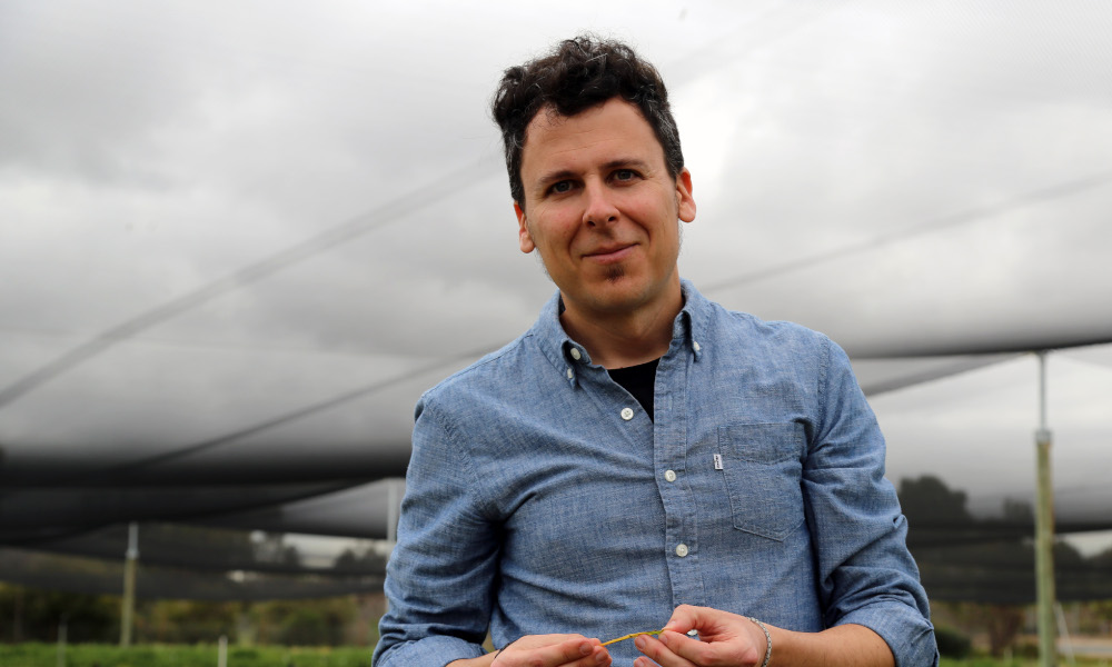 2021 fungicide resistance webinar for WA