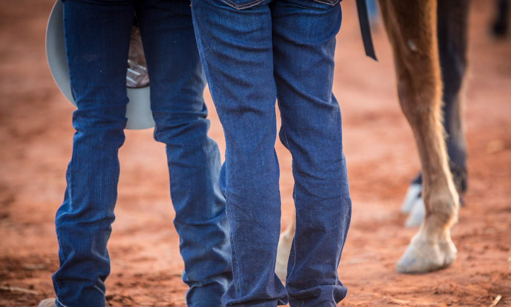 Long term lease for Campdraft and Riding for Disabled