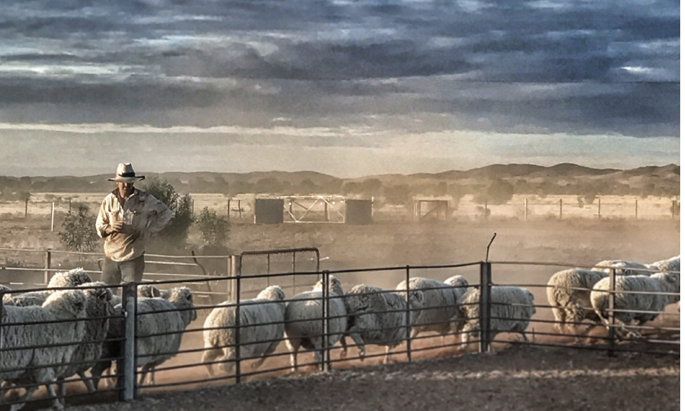Setting up for success through a lifetime ewe management course