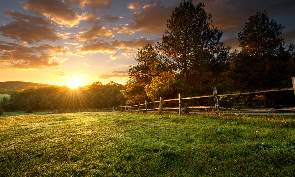 Applications for Enhancing Remnant Vegetation Pilot now open
