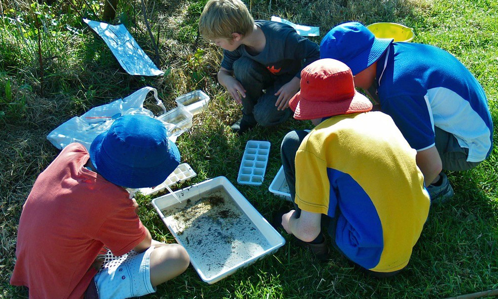 Towamba cemetery event kicks off citizen science program