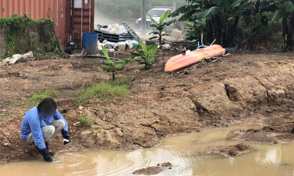 Blueberry farmer fined for water pollution