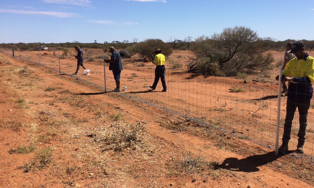 Green light for WA state barrier fence
