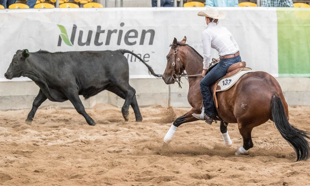 Record entries set high hopes for a successful event in 2022