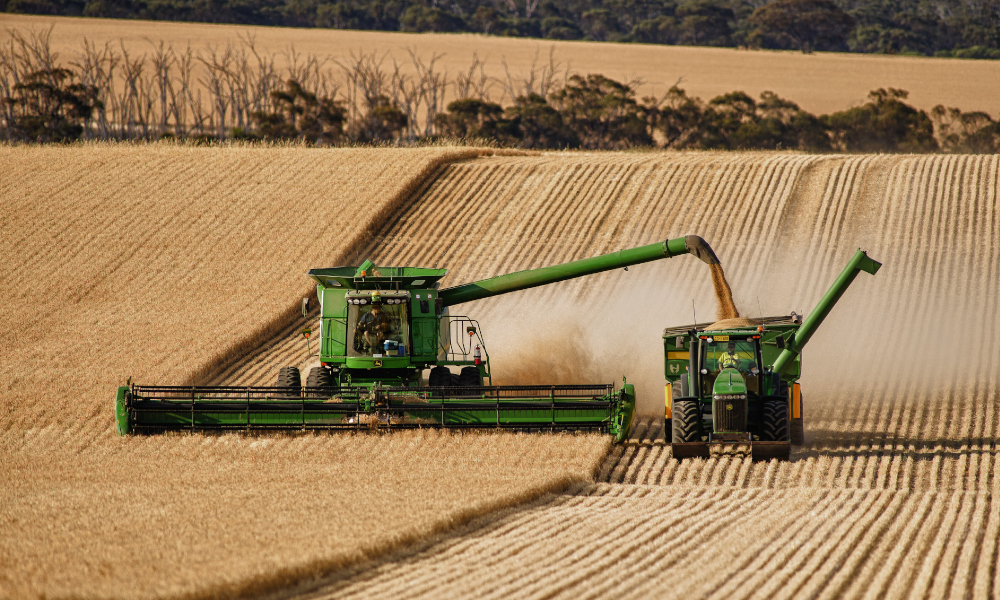 New research to reveal true cost of harvest losses to growers