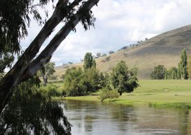 Water Bill a recipe for hurt, division and higher food prices