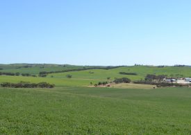 Family story to continue after Eyre Peninsula cropping sale