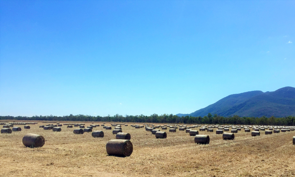 North Queensland’s Ausgold Hay listed for sale
