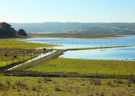 Funding for farm fences
