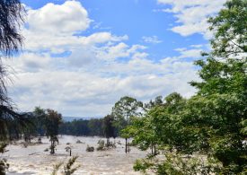 ATO reassures flood victims