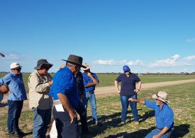 Great opportunity for landholders to get latest advice at upcoming grazing naturally workshop