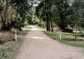 Explore Ballarat's trails and tracks this Spring